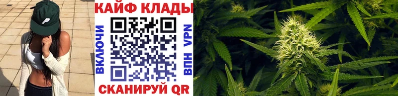 Купить Куйбышев Alpha-PVP  Меф  Псилоцибиновые грибы  COCAIN 