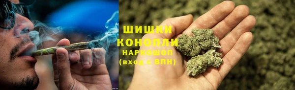 круглые Белокуриха