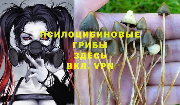 хмурый Беломорск