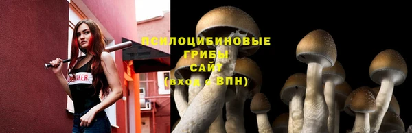 круглые Белокуриха