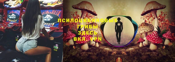 круглые Белокуриха